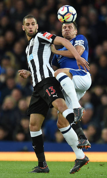 持他的球迷 持他的球迷