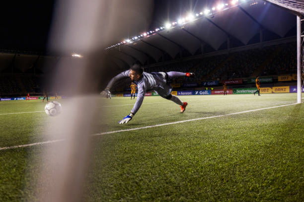 的视觉和精 的视觉和精